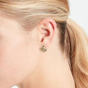 Multi Pack Sea Gold Tone Earrings